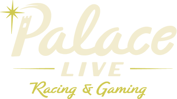 Palacelive Casino Logo